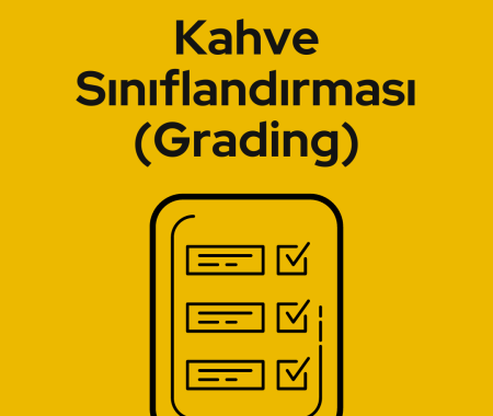 Kahve Sınıflandırması (Grading)