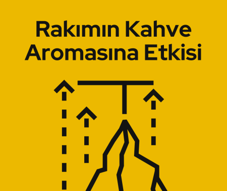 Rakımın Kahve Aromasına Etkisi